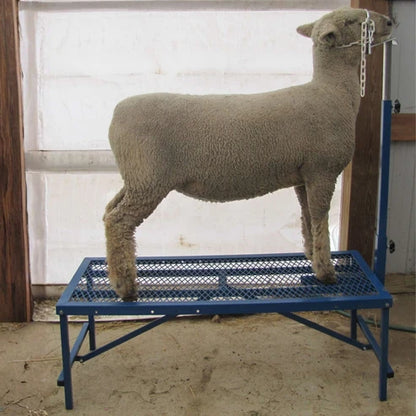 Sydell Fold-Up Fitting Stand | #0705 / #AL0745 | Size 20" x 48" | For Sheep & Goat Show Equipment