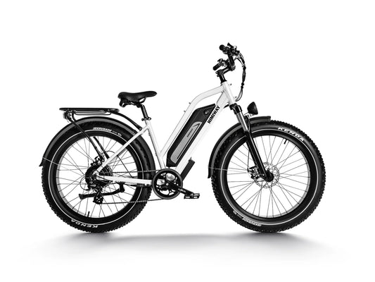 Himiway D3 ST (Cruiser ST) | All Terrain Step Thru Electric Bike | 750W Brushless Gear Motor | LCD Display With USB Charging