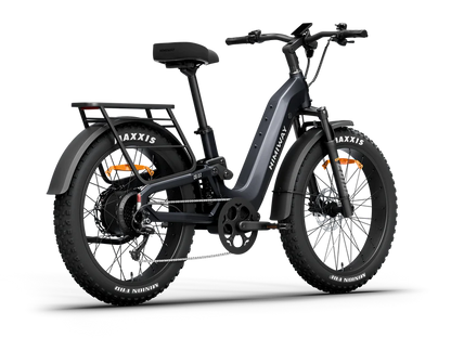 Himiway | Electric Bike | Model D5 2.0 ST (Step-Thru) | 750W Hub Motor | 26 x 4.0” Fat Tires | 65 Mile Range | 400 lb Payload | 90Nm Torque | For Urban Commuting & All-Terrain Adventure
