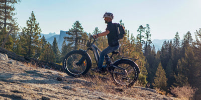 Himiway Electric Bike | Model D5 2.0 | High-Step & Step-Thru | 750W Hub Motor | 65 Mile Range | 400 lb Payload
