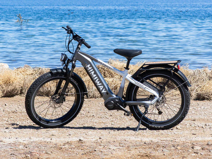 Himiway D5 Pro Premium All-terrain Electric Fat Bike | 500W | 48V 20Ah