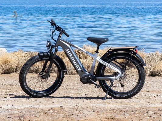 Himiway D5 Pro Premium All-terrain Electric Fat Bike | 500W | 48V 20Ah