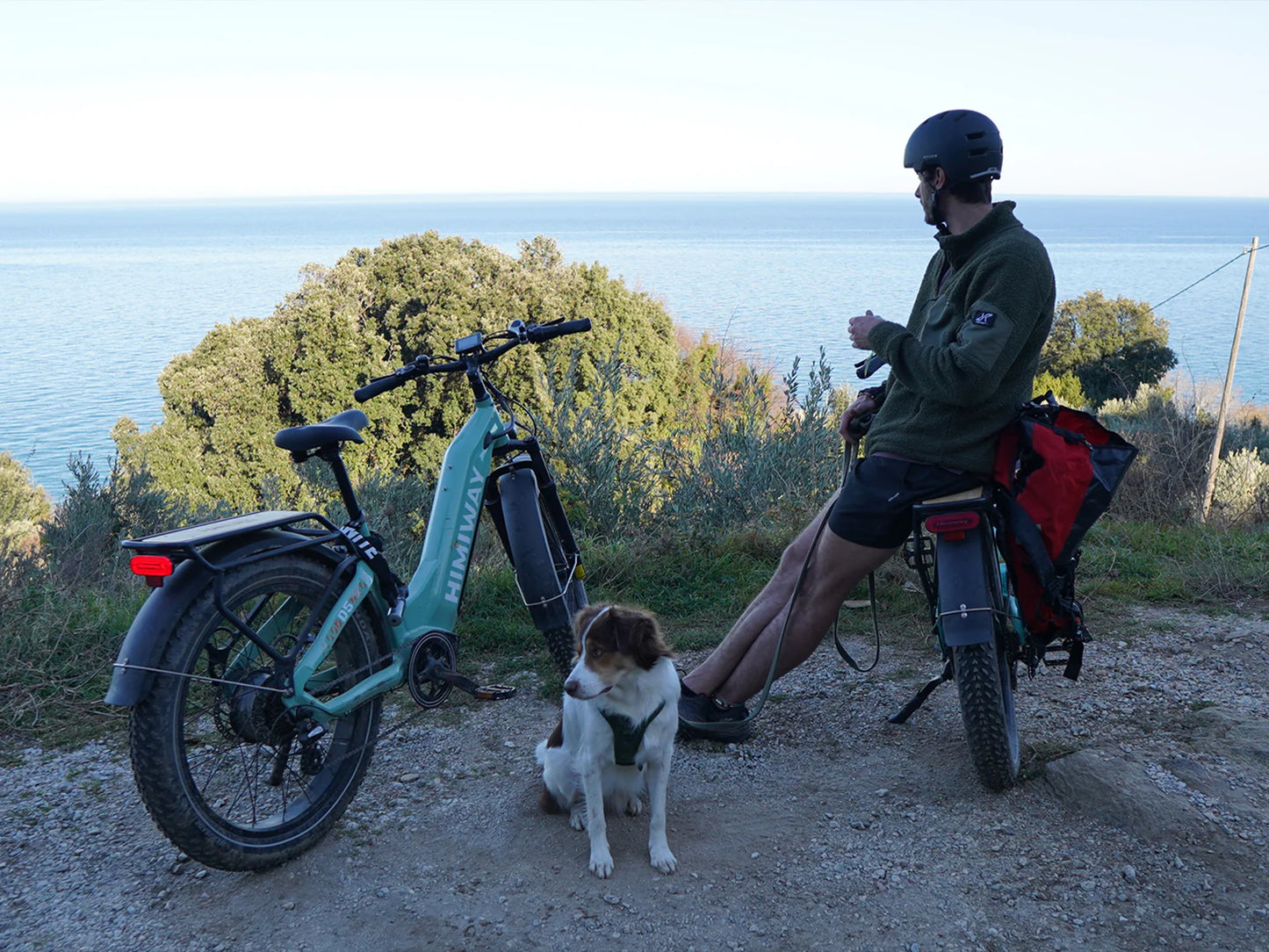 Himiway D5 ST (Zebra ST) | Premium All-terrain Electric Fat Bike | 500W Mid-Drive Motor | 60-80 Miles Per Charge