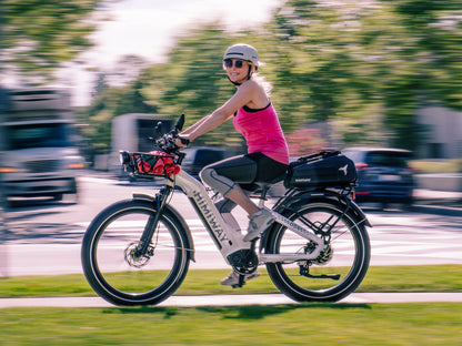 Himiway D5 (Zebra) | High Step | Premium All-terrain Electric Fat Bike