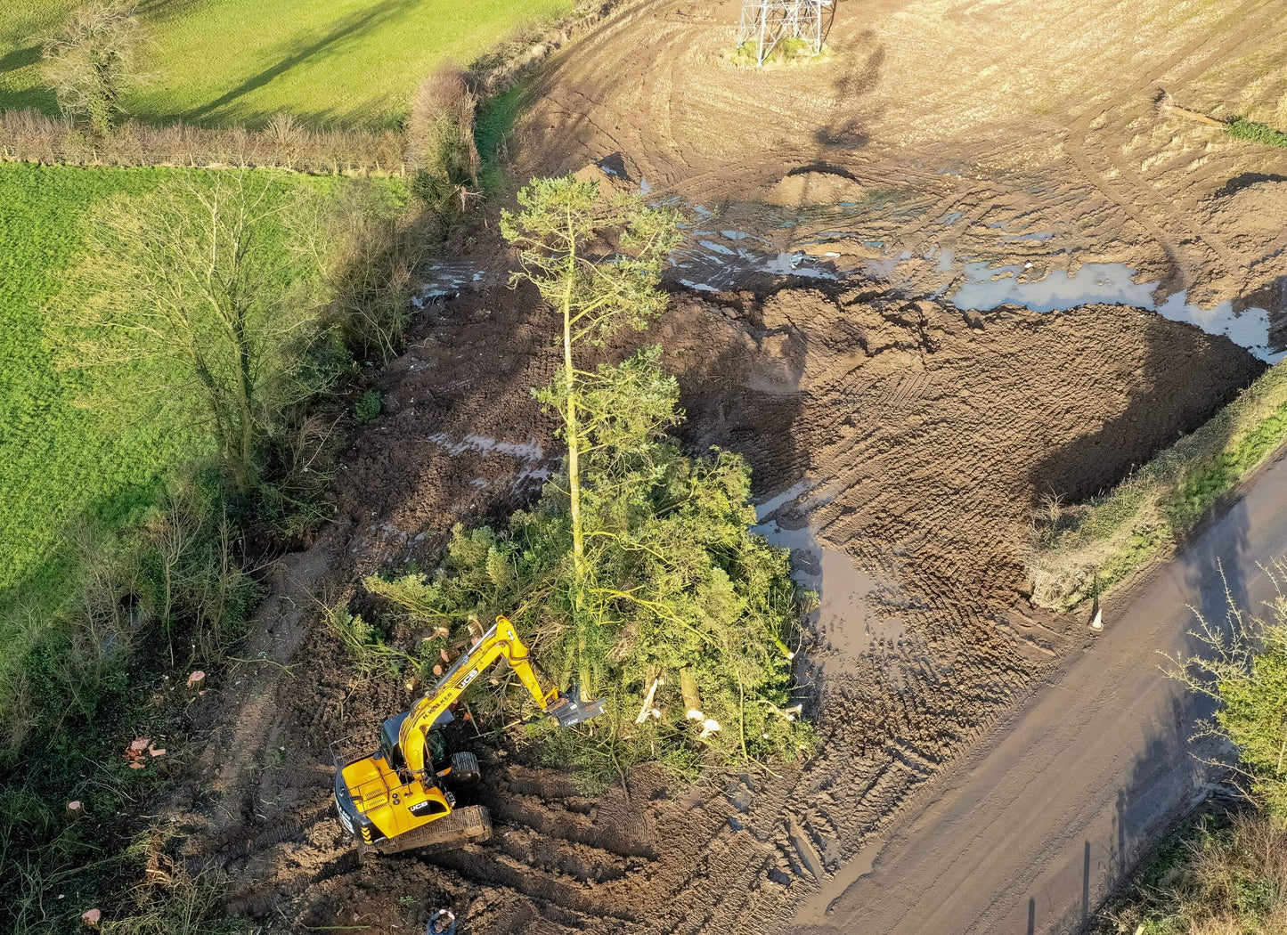 MDE Machinery | Tree Shear With Buncher | Model Koala 150T To Koala 550T | Cutting Capacity 6" To 21.5" Inches | Machine Size 1.5-40 Ton | For Excavator