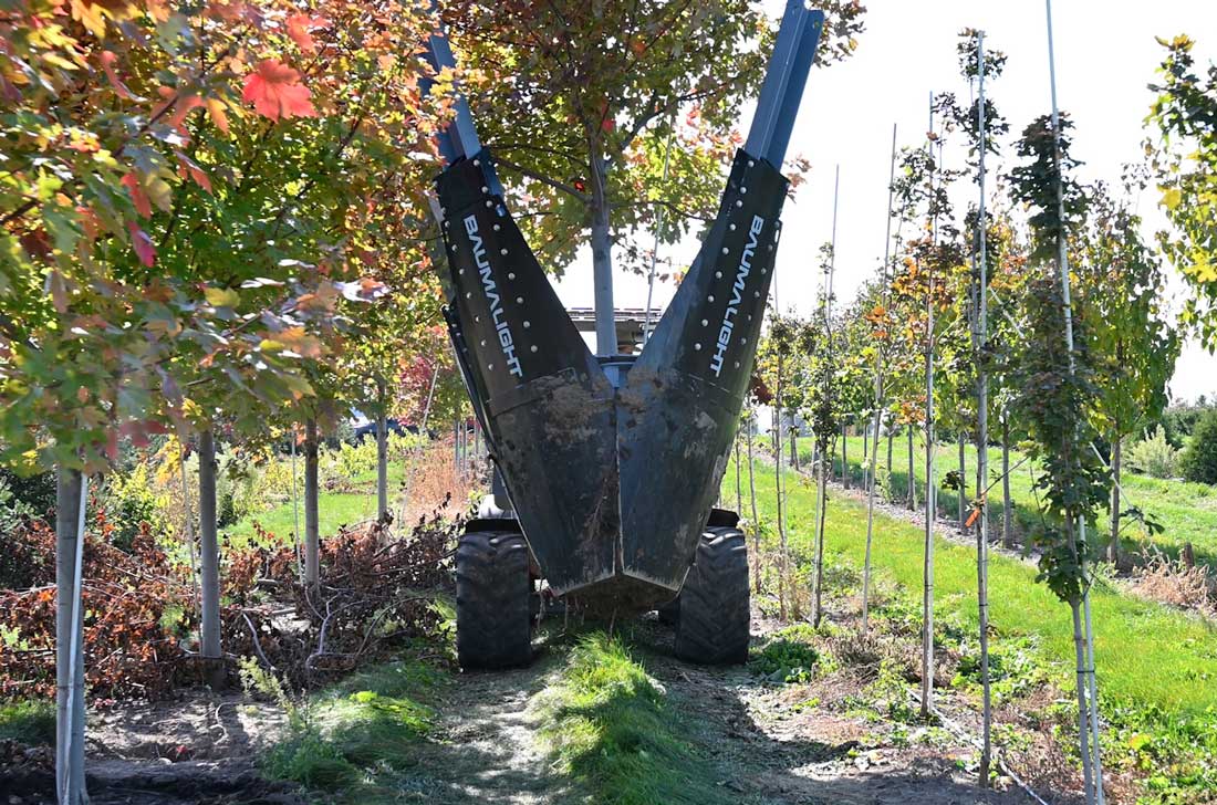 Baumalight Industrial Tree Spade | Model DR-444 | Ball Attachment Size 44" | Horsepower 80-90 HP | Hydraulic Flow 5-20 GPM | For Tractors & Skid Steers