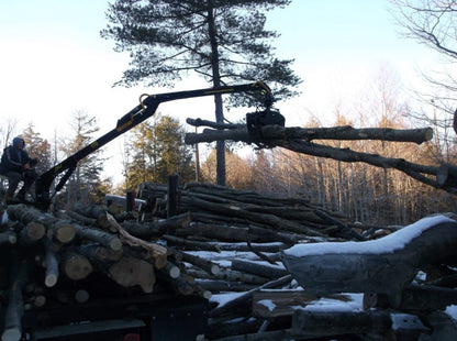 Machinerie AM Inc | "JMS" & "AM" Log Loaders  | Boom rotation angle 360°