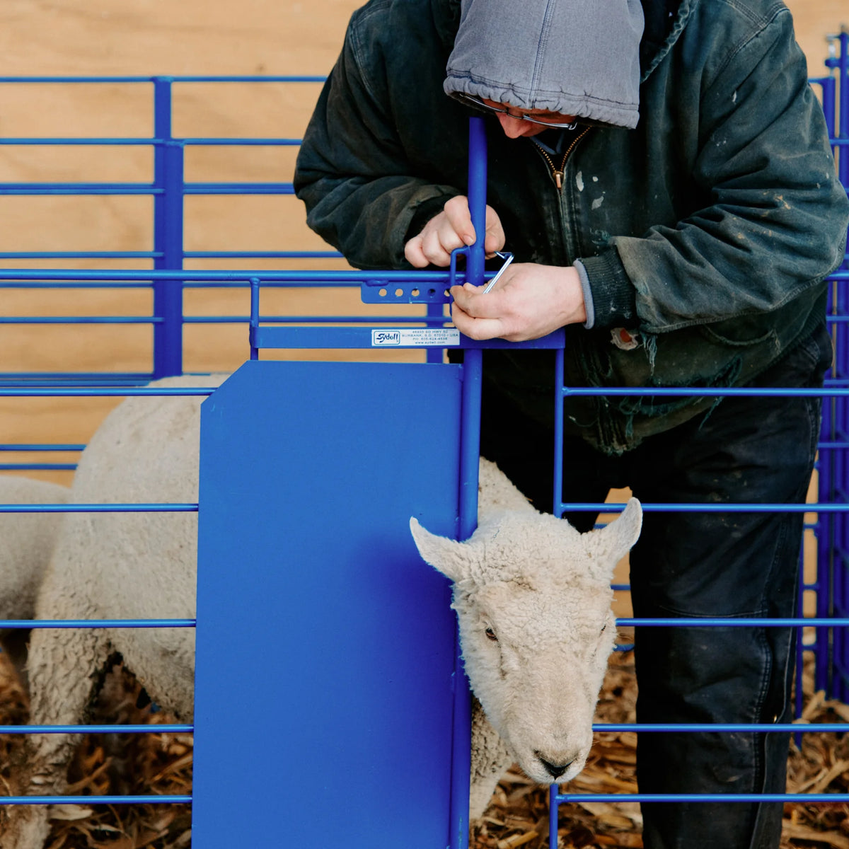 Sydell Deluxe Pin-In Grafting Gate Panel | #0653-3 | Width 27" | For Sheep & Goat Lambing & Kidding Pens
