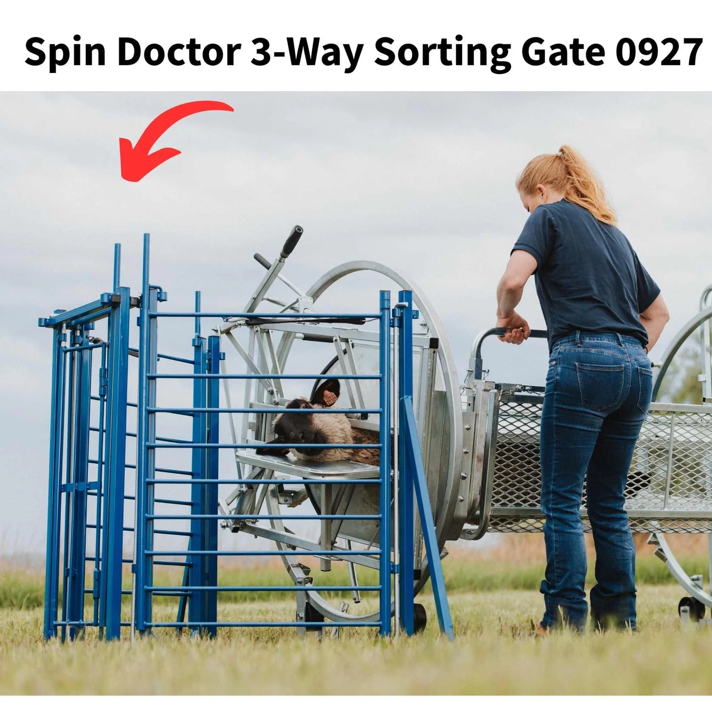 Sydell Deluxe Spin Doctor | #0938 | 46" Width | For Sheep & Goat Hoof Trimming & Handling