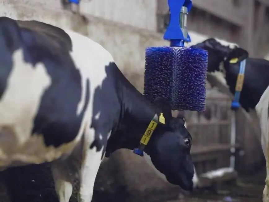 Sveaverken Smart Brush-Improve Cow Comfort & Hygiene