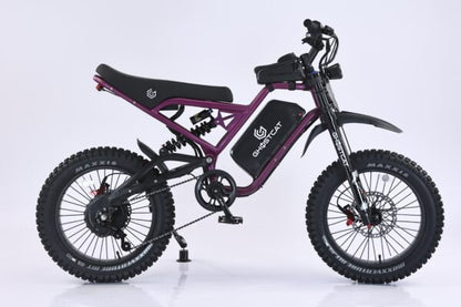 GHOSTCAT F4X All-Terrain Fat Tire Electric Bike | 60V 2200W Geared Hub Motor | 40MPH Top Speed | 30-50 Miles Range | For Off-Road Adventures