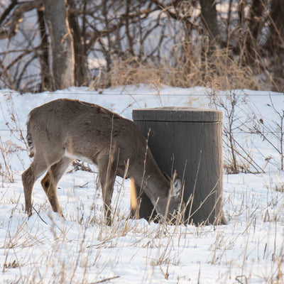 Bank Outdoors Feedbank Timber 500 | Model FBTIM500 | Capacity 500‑lb | Ground‑Style Wildlife Feeder | For Deer Feed System