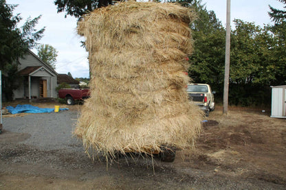 Farmer Helper FH-BG130 Rount Hay Bale Gripper Standard | 80"-150" Bale Diameter for Skidsteer/Tractor