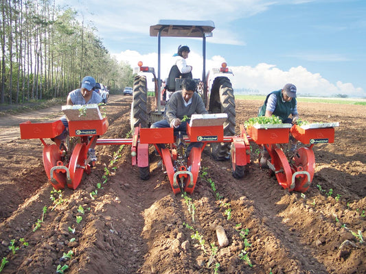 Checchi & Magli Transplanter Foxdrive R-14 | Inter-Plants Spacing 4"-5" | 20-65 HP For Tractors