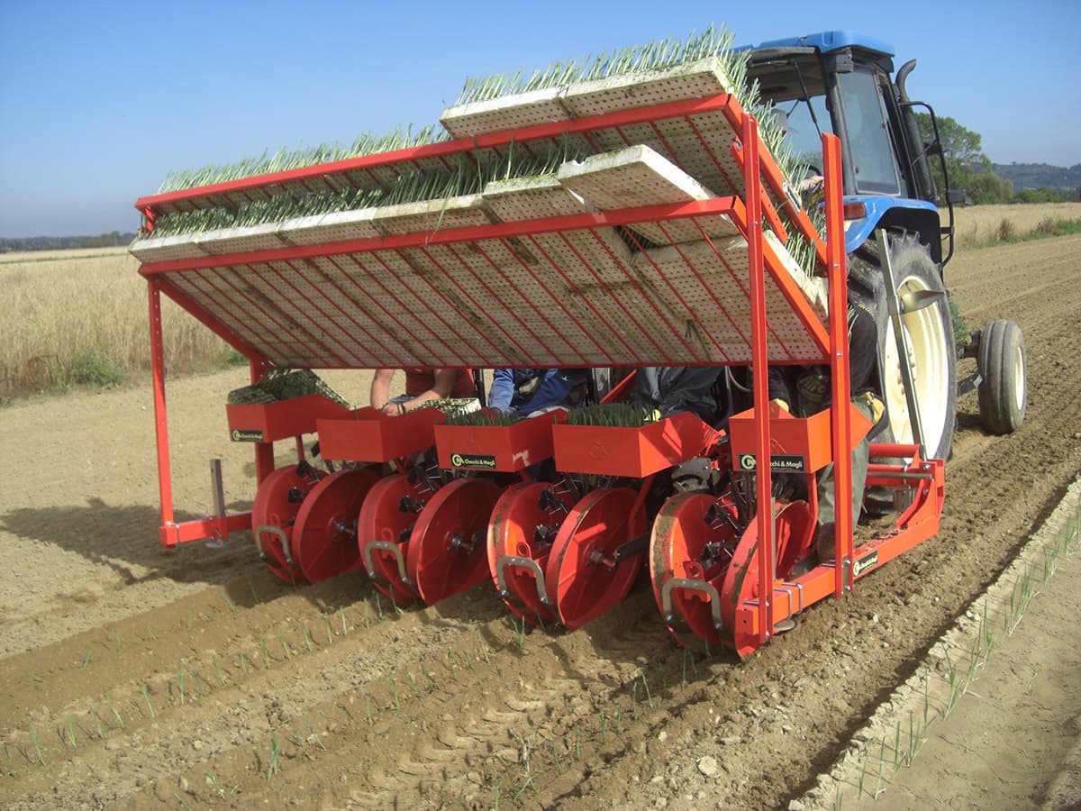 Checchi & Magli Transplanter Foxdrive R-14 | Inter-Plants Spacing 9-12 cm | 20-65 HP For Tractors