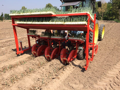 Checchi & Magli Transplanter Foxdrive R-14 | Inter-Plants Spacing 9-12 cm | 20-65 HP For Tractors