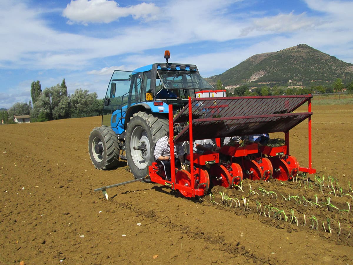 Checchi & Magli Transplanter Foxdrive R-14 | Inter-Plants Spacing 9-12 cm | 20-65 HP For Tractors