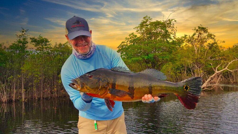 Florida Peacock Bass Fishing Trips