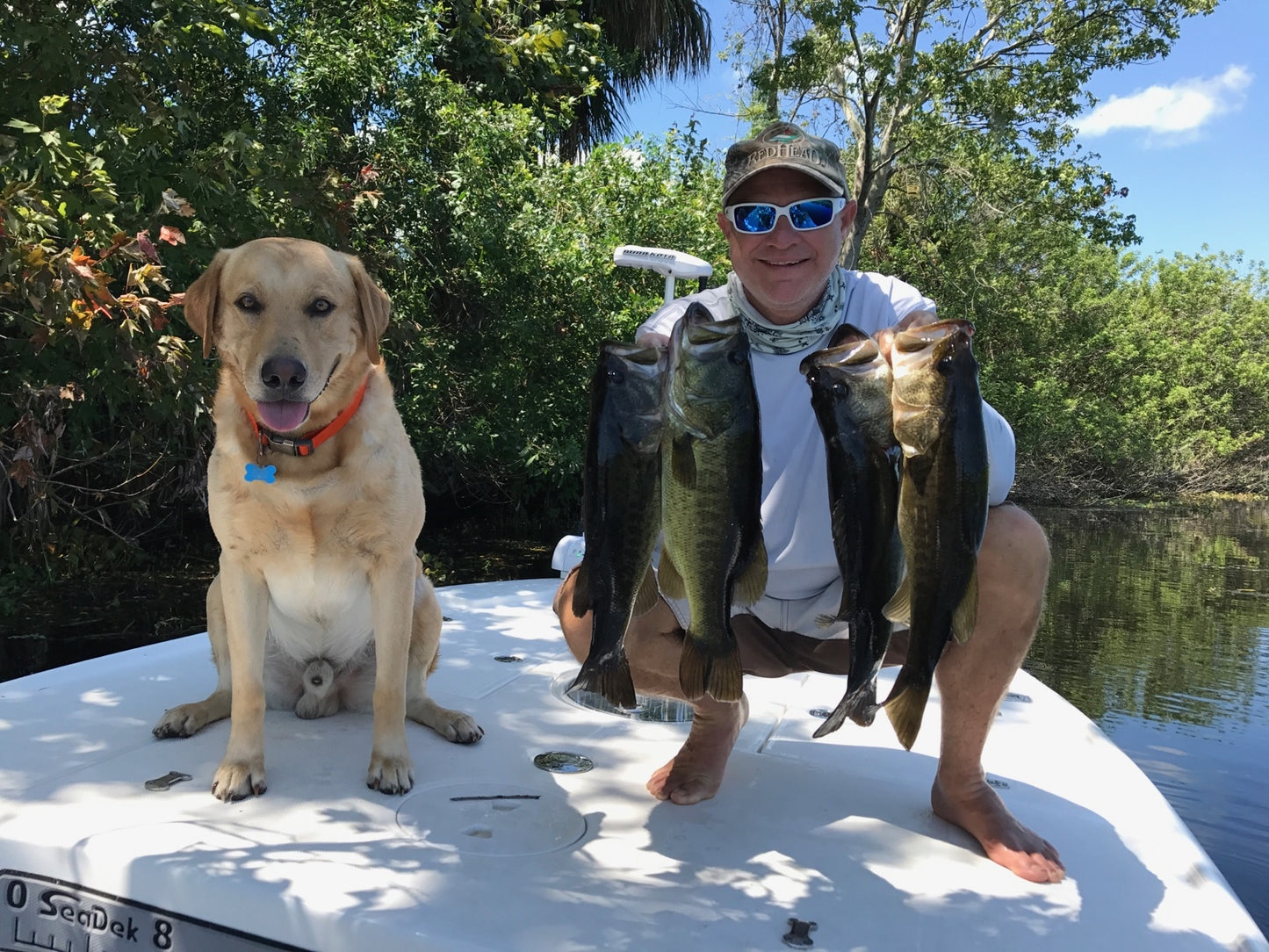 Florida Largemouth Bass Fishing Trips