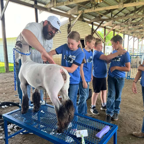 Sydell Fold-Up Fitting Stand | #0705 / #AL0745 | Size 20" x 48" | For Sheep & Goat Show Equipment
