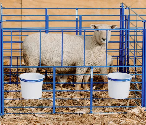 Sydell Standard Wall Mount Starter Pens | #0102A / #0102A-G / #0103A / #0103A-G | 6' Width | For Sheep & Goats