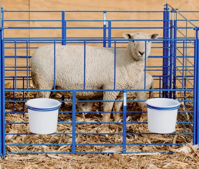 Sydell Standard Wall Mount Starter Pens | #0102A / #0102A-G / #0103A / #0103A-G | 6' Width | For Sheep & Goats