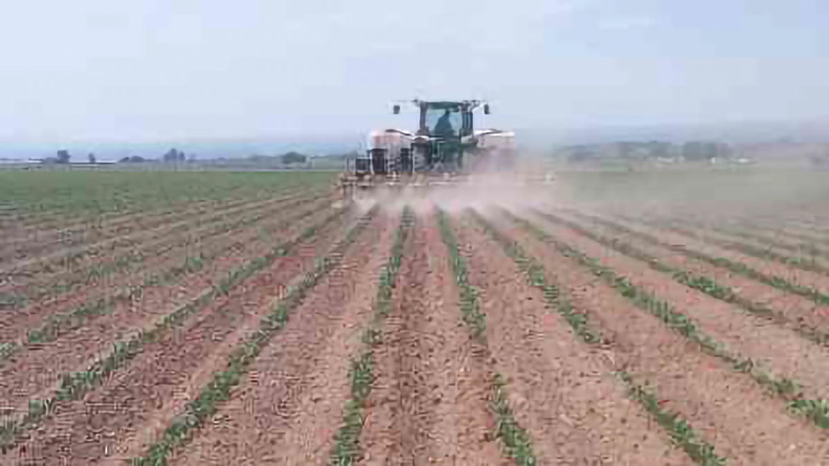 Henke Buffalo High Residue Cultivators | 1–24 Rows | 50–300+ HP | For Agricultural Tractor