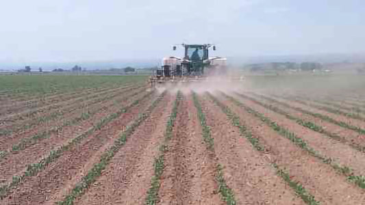 Henke Buffalo High Residue Cultivators | 1–24 Rows | 50–300+ HP | For Agricultural Tractor