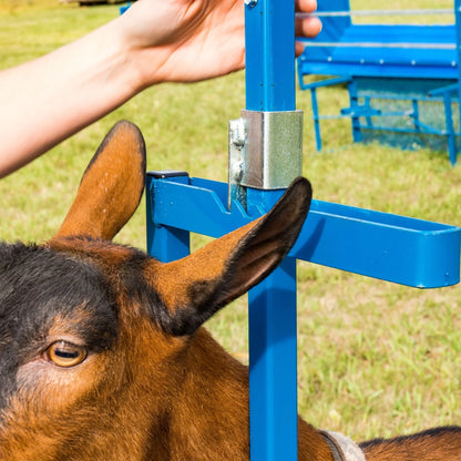 Sydell Milking Stanchion | #0736 | 20" x 48" Deck | Single-Head | Poly Feeder | For Sheep & Goats