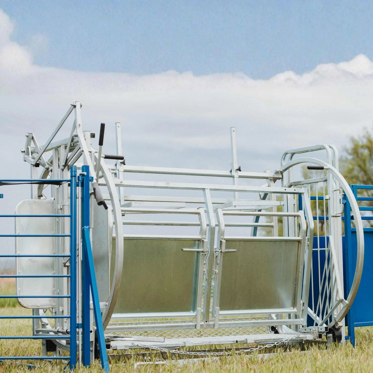 Sydell Deluxe Spin Doctor | #0938 | 46" Width | For Sheep & Goat Hoof Trimming & Handling