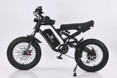 Ghostcat F3 Class 2 Electric Fat Tire Bike | 20