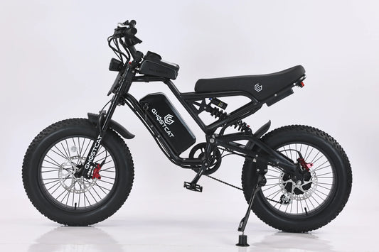 Ghostcat F3 Class 2 Electric Fat Tire Bike | 20" Tires | 750W Motor | 20MPH Top Speed | For Off-Road Adventure Ready