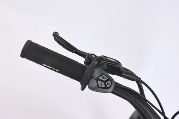 Ghostcat F3.3 All-Terrain Fat Tire Electric Bike | 1500W Motor | 35MPH Top Speed | 52V/20AH Battery | Off-Road Adventure Ready