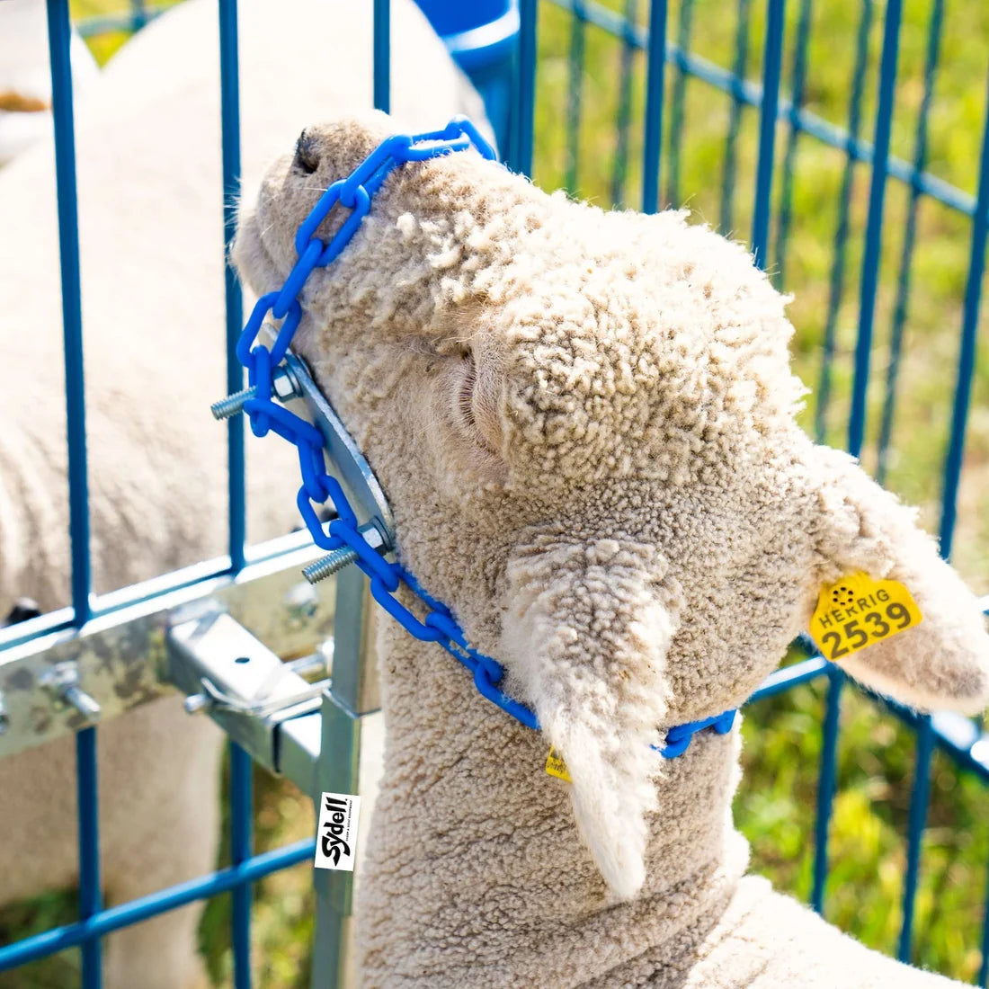Sydell Portable Panel Mount Head Holder | #0729 | Panel-Mounted Animal Restraint | For Sheep & Goats