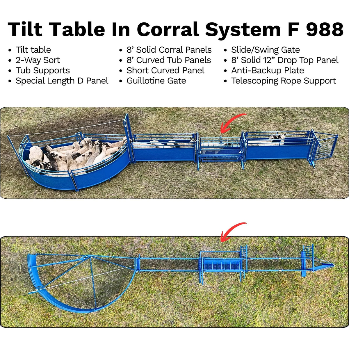 Sydell Tilt Table For Sheep & Goats | #0930 | Width 61" | For 100+ lb Livestock Hoof Trimming