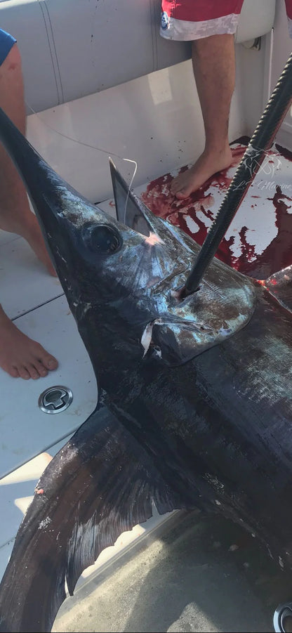 LT Marine Extreme HD Carbon Fiber Gaffs | 6’ & 8’ Heavy Duty | 4" Winthrop Hook & J Hook | Lightweight, Floating & Rigid | For Big Game Fishing