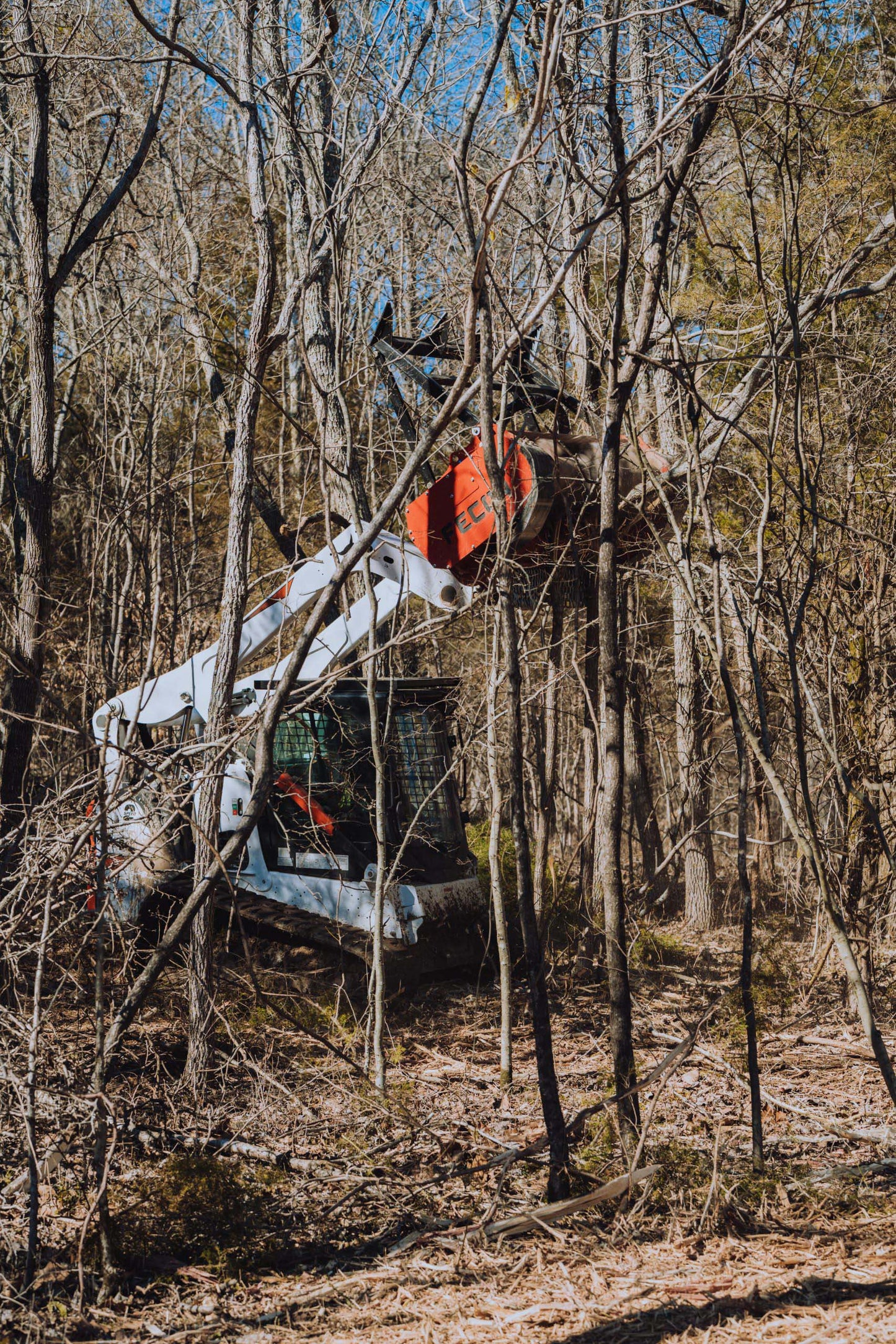 Fecon Bull Hog High Flow Mulching Head | Model BH62SS, BH74SS & BH85SS | Width 50" To 72" | 30–50 GPM | For Skid Steer & Compact Track Loader