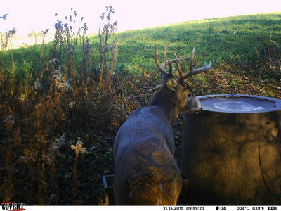 Bank Outdoors Wild Water System | Model WW100T | 100‑Gallon Capacity | Wildlife Hydration | Float‑Valve Trough | For Deer & Game