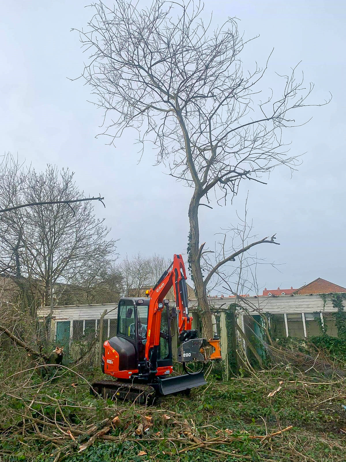 MDE Machinery | Tree Shear With Buncher | Model Koala 150T To Koala 550T | Cutting Capacity 6" To 21.5" Inches | Machine Size 1.5-40 Ton | For Excavator