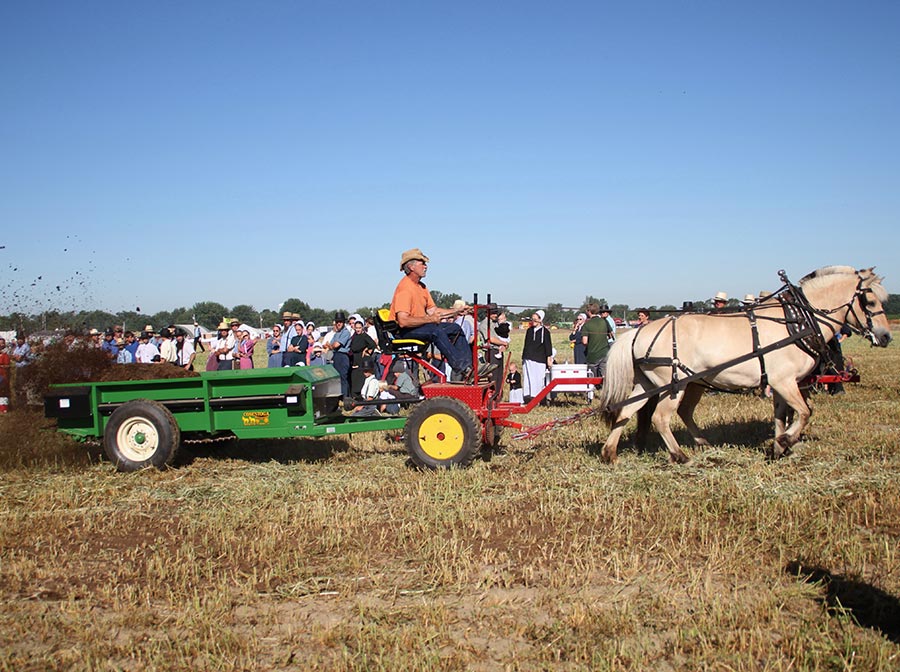 I&J Forecarts | Standard & Heavy Duty | Length 66" & 72" | Width 60" | For Horse-Drawn Implement