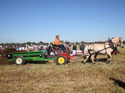 I&J Forecarts | Standard & Heavy Duty | Length 66" & 72" | Width 60" | For Horse-Drawn Implement
