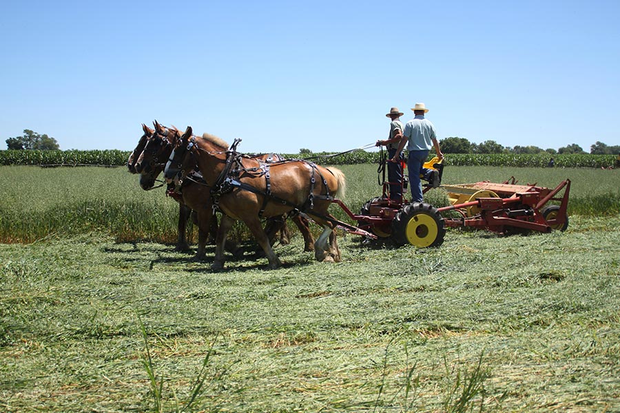 I&J Forecarts | Standard & Heavy Duty | Length 66" & 72" | Width 60" | For Horse-Drawn Implement