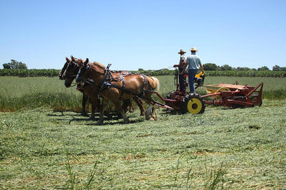 I&J Forecarts | Standard & Heavy Duty | Length 66" & 72" | Width 60" | For Horse-Drawn Implement