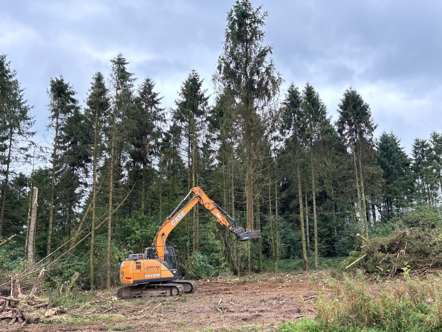 MDE Machinery | Tree Shear With Buncher | Model Koala 150T To Koala 550T | Cutting Capacity 6" To 21.5" Inches | Machine Size 1.5-40 Ton | For Excavator
