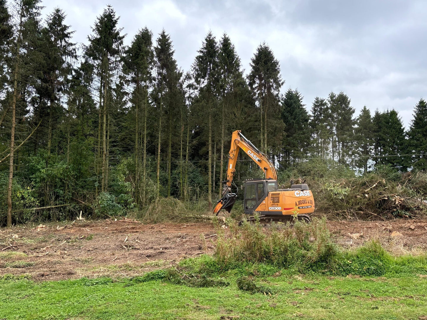 MDE Machinery | Tree Shear With Buncher | Model Koala 150T To Koala 550T | Cutting Capacity 6" To 21.5" Inches | Machine Size 1.5-40 Ton | For Excavator