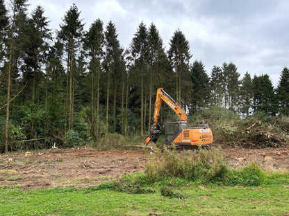 MDE Machinery | Tree Shear With Buncher | Model Koala 150T To Koala 550T | Cutting Capacity 6" To 21.5" Inches | Machine Size 1.5-40 Ton | For Excavator