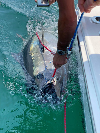 LT Marine Heavy Duty Release Hook | 5/16