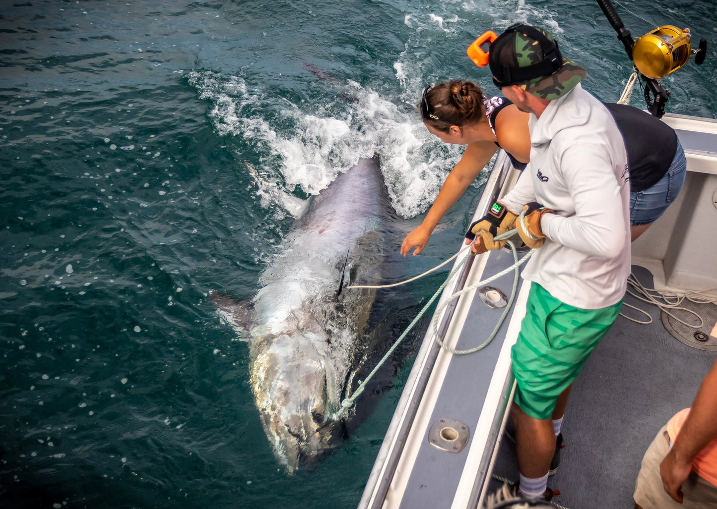 LT Marine Heavy Duty Release Hook | 5/16" 316 Stainless Steel | 2" Gap | For Reviving Giant Tuna & Large Pelagic Fish