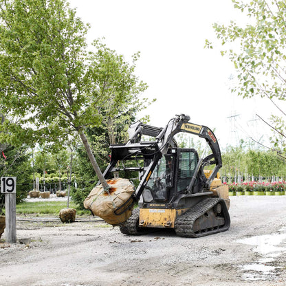 ProLine Tree Planting Equipment | Model Grabber XL | Width 54" | Rootball Capacity 32"-54" | Reach 8' | Hydraulic Flow Range 15–25 GPM | For Skid Steers