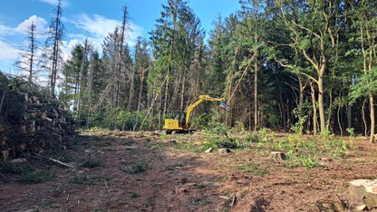 MDE Machinery | Tree Shear With Buncher | Model Koala 150T To Koala 550T | Cutting Capacity 6" To 21.5" Inches | Machine Size 1.5-40 Ton | For Excavator